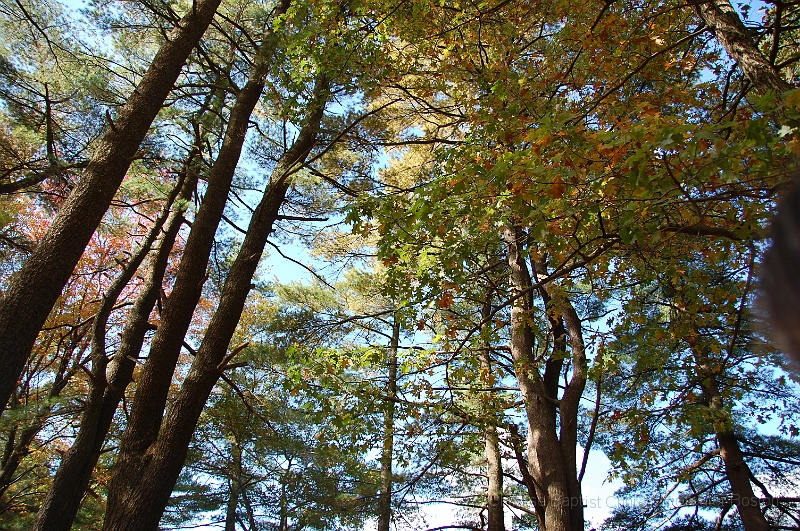 DSC_4508.JPG