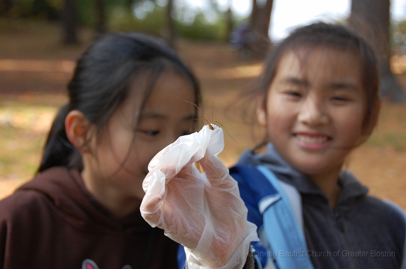 DSC_4539.JPG