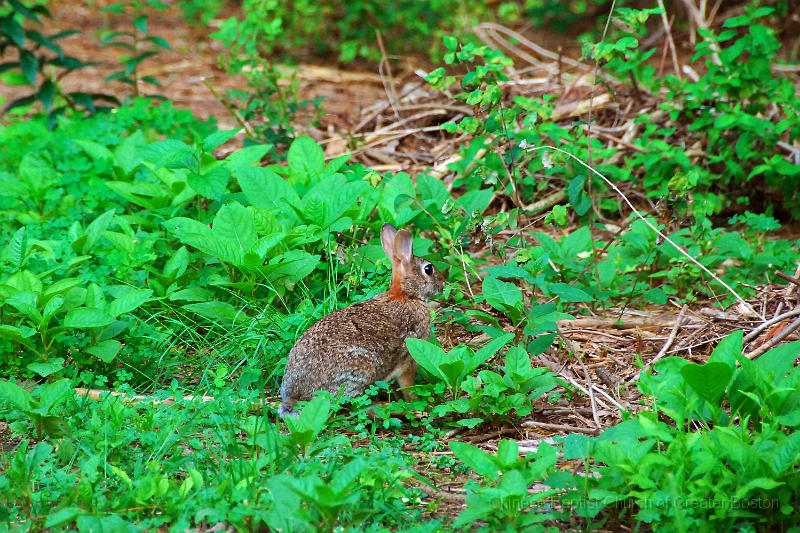 DSC_8625.JPG