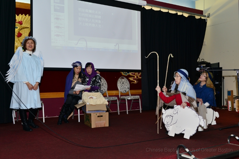 DSC_6491.jpg