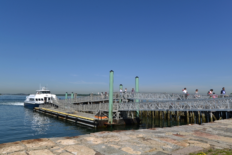 DSC_8017.JPG