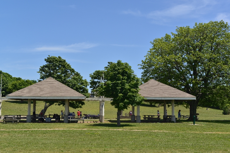 DSC_8293.JPG