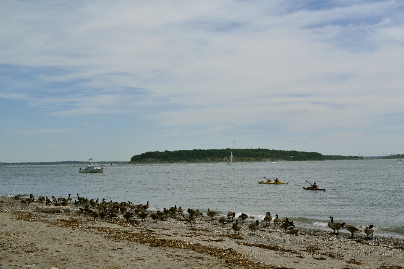 DSC_8386.JPG